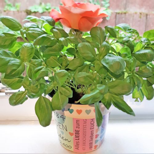 Blumentopf gestalten