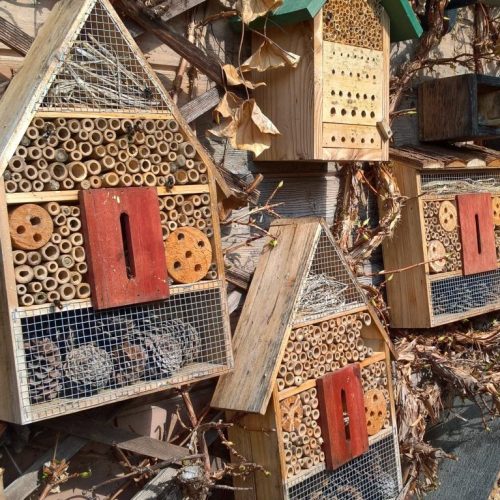 Das Bienenhotel