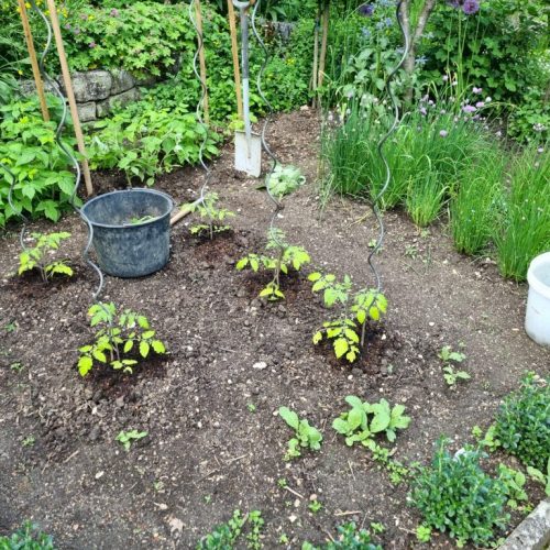 Gartenimpressionen