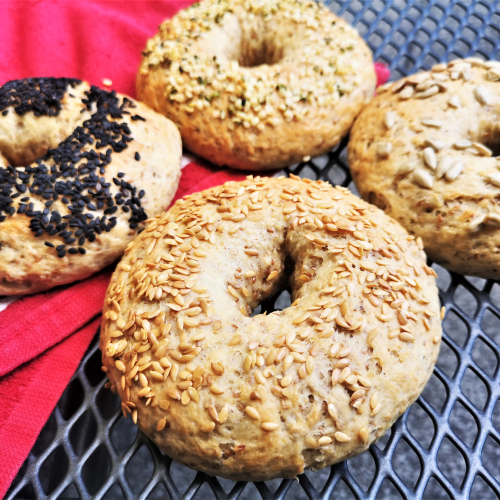 Floh-Bagels