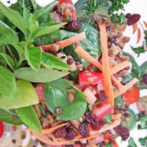 Orientalischer Karotten-Salat