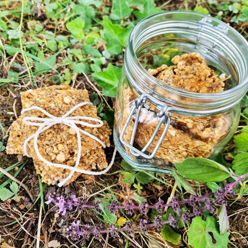 Chia-Hanf-Knäcke | Rohkost