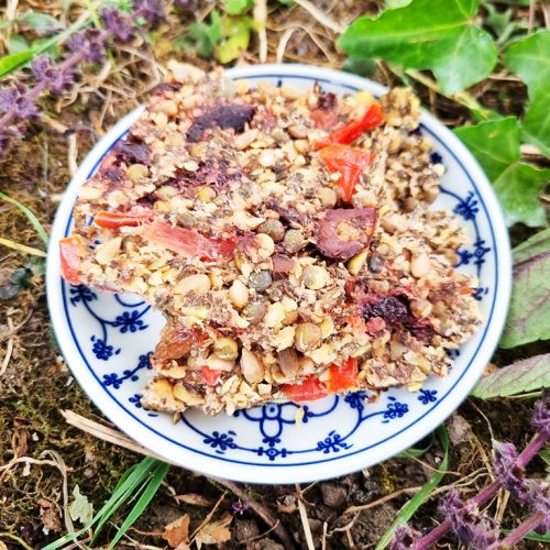 Linsen-Oliven-Cracker | Rohkost