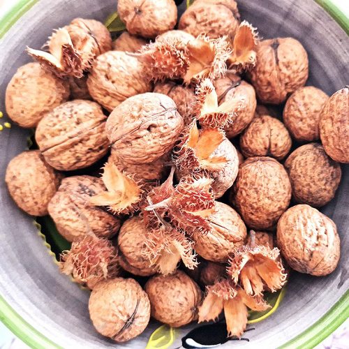 Unsere eigenen Walnüsse