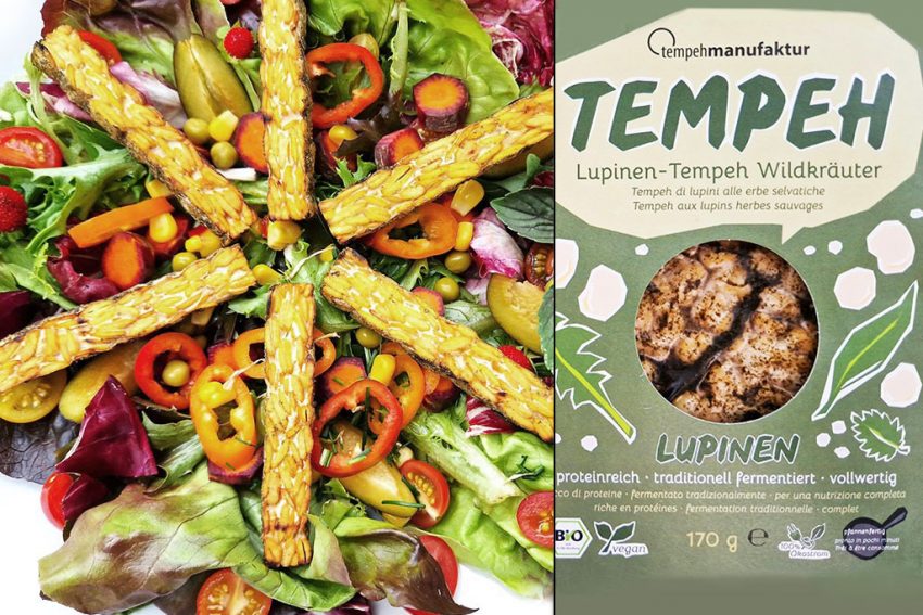 Tempehmanufaktur | Lupinen-Tempeh Wildkräuter