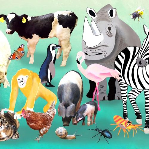 To Want Liste für Tiere