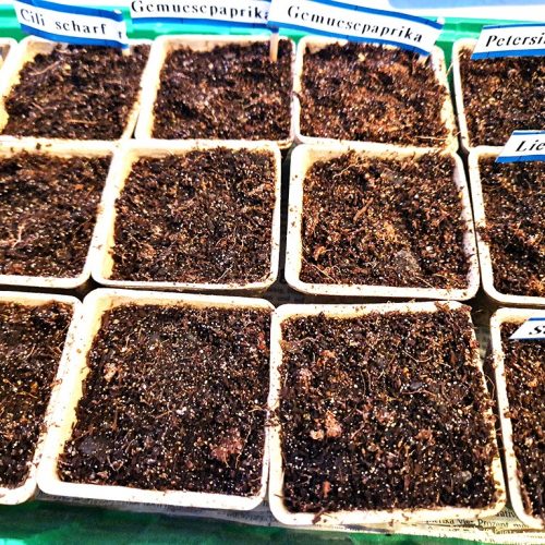 Anzucht von Chili und Paprika | Ursorten