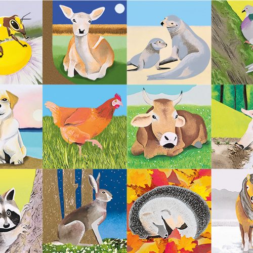 Tiere in Freiheit | Buch