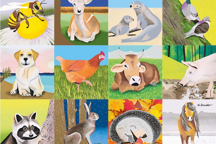 Tiere in Freiheit | Buch