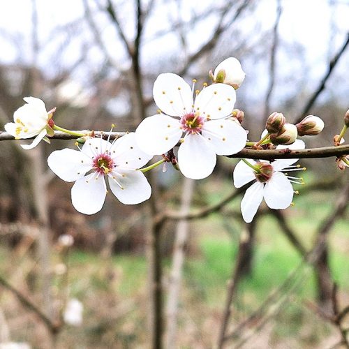 Rückblick und Veränderung