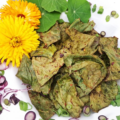 Kohlrabiblätter-Chips