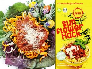 SunflowerFamily | SunflowerHack