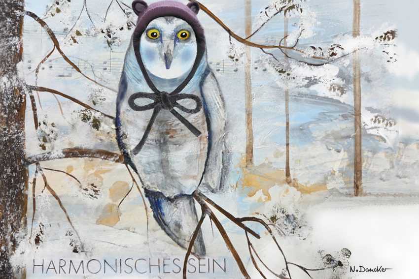 Januar-Bild | Schneeeule