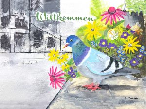 April-Bild | Taube