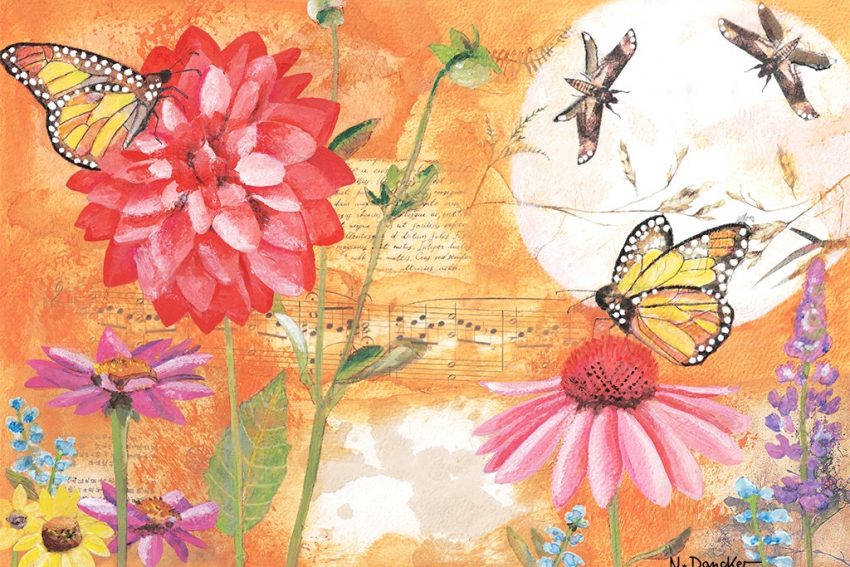 Mai-Bild | Schmetterling