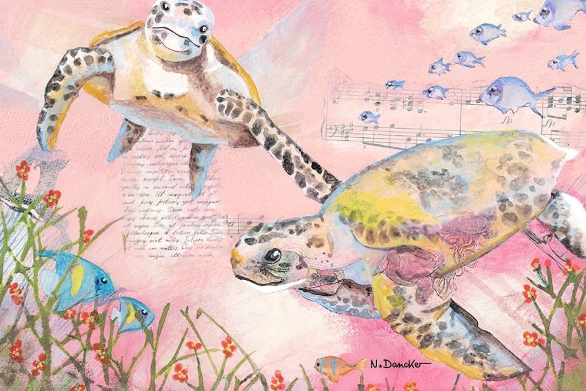 August-Bild | Wasserschildkröten