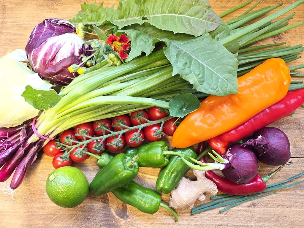 Fresh assortment of vegetables and fruit on a wooden surface: peppers, tomatoes, onions, cabbage, greens, scallions, lime and ginger.