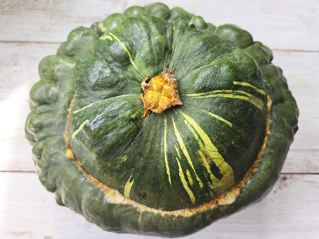 Top-down view of a dark green pumpkin with yellow variegation on a light wooden surface.