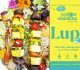 Yellow Sunshine | Lupi Kräuter Knoblauch