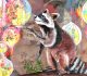 September-Bild | Waschbär