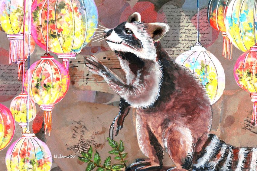 September-Bild | Waschbär
